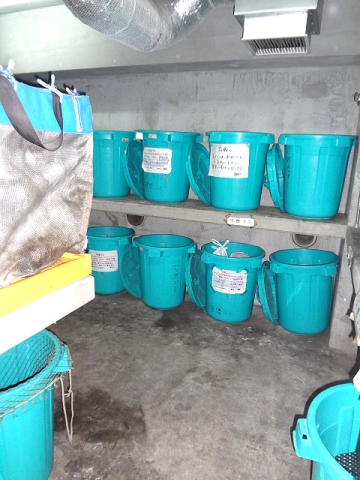 アミーゴ南馬込 その他23