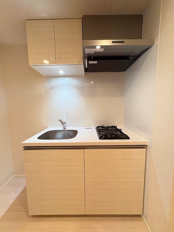 ディアレイシャス田園調布本町 キッチン