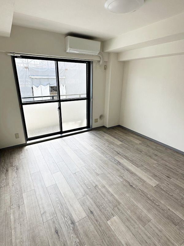 ステラトーショウ  その他1