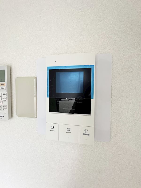 ステラトーショウ  その他4