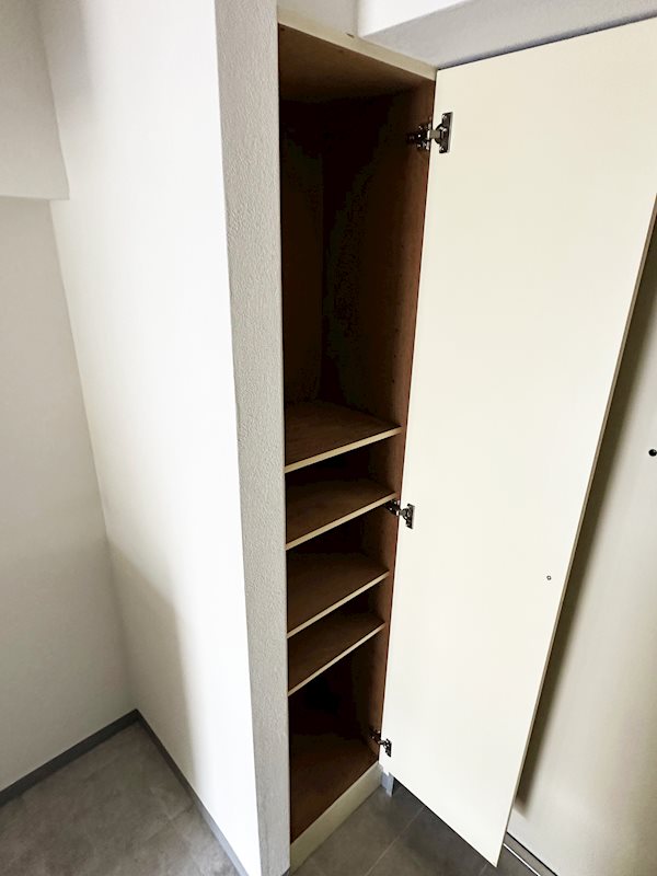 ステラトーショウ  その他6