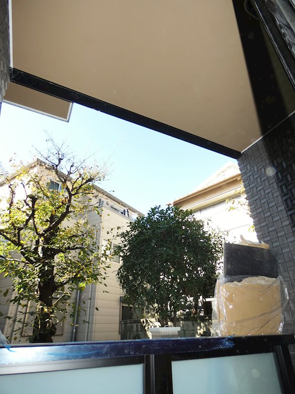 COCO Lupinus その他2