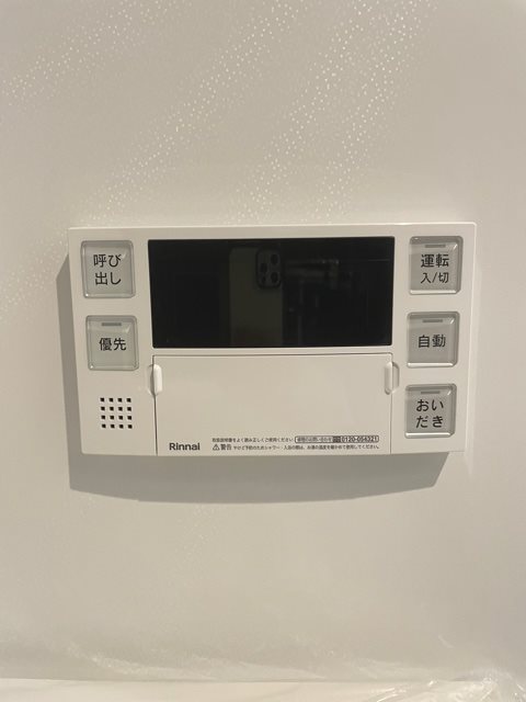 COCO Lupinus その他10