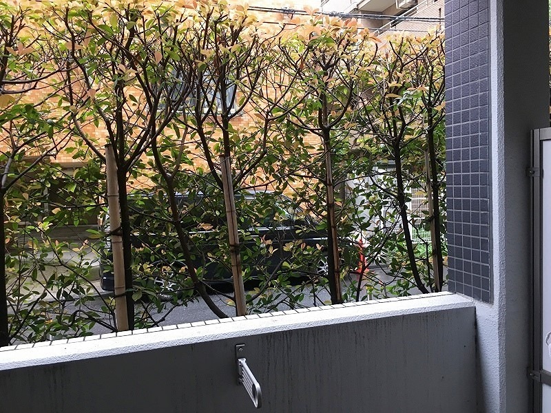 エスティメゾン武蔵小山Ⅱ その他4