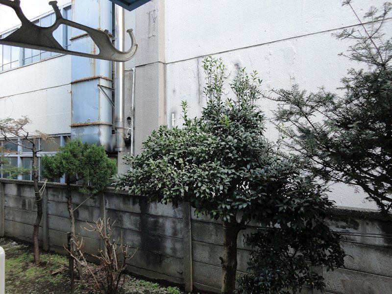 ペナテス松長 ベランダ