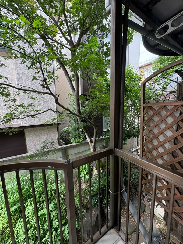 ブルーベリーヒル その他8