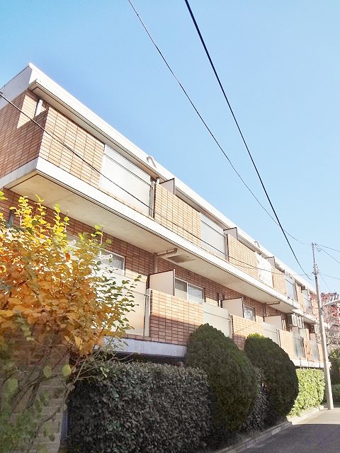 その他11