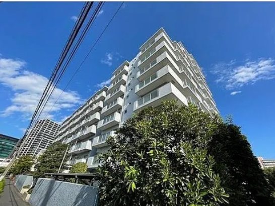 アイビハイツ南品川 910号室 外観