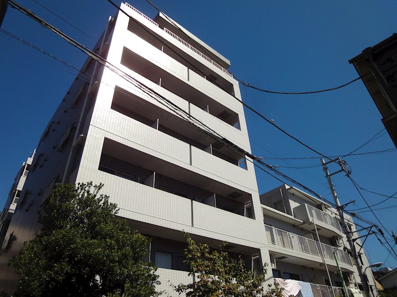 その他11