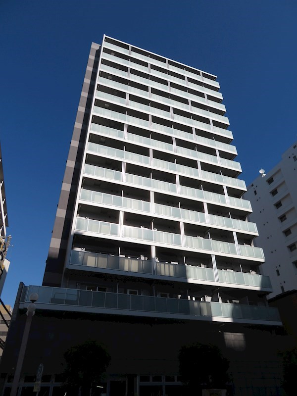 その他11