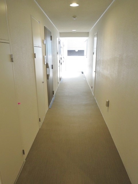 その他13