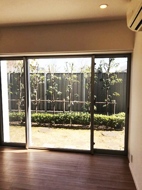 フレンシア玉川田園調布 リビング