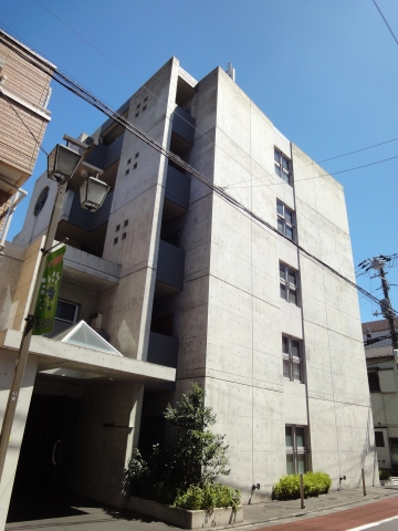 その他11