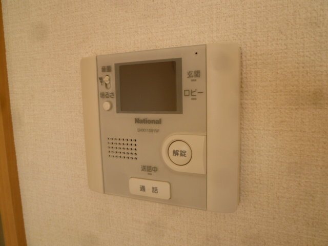GEMINI ONNA その他3