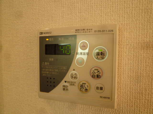 GEMINI ONNA その他5