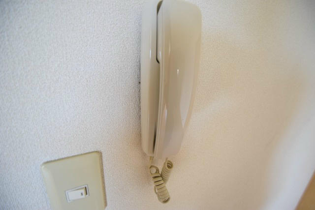 パランカ その他4