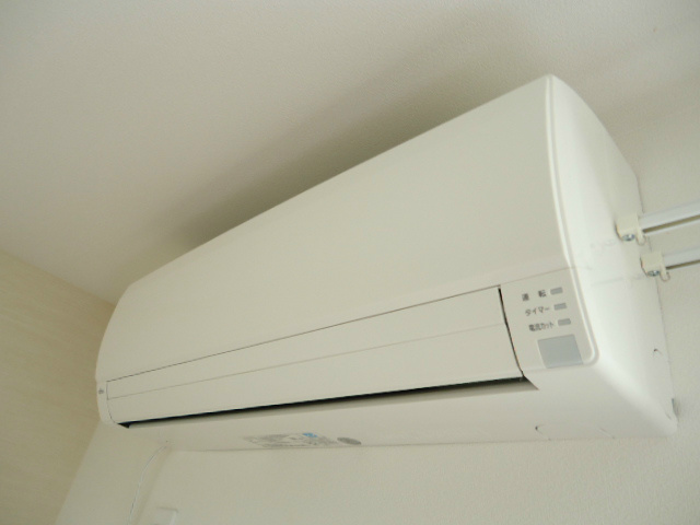 リブリ・コンソラトゥール その他4