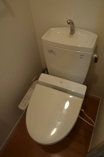 イリブランシール その他2