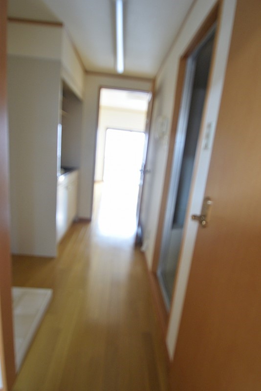 レジデンス・デ・パピロン 玄関