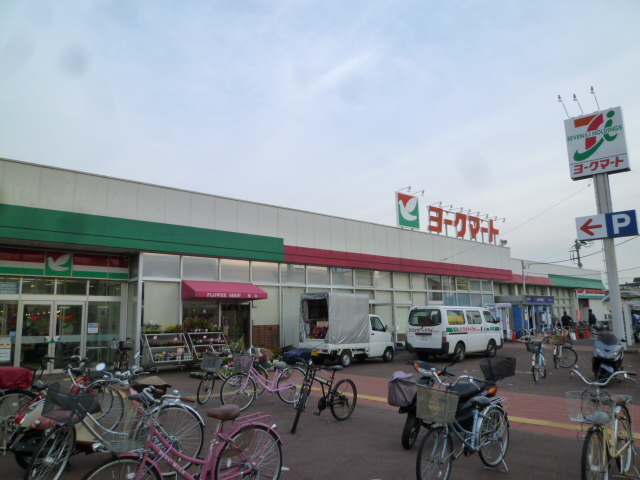 ヨークマート 厚木妻田店 メゾン相模野 周辺画像3