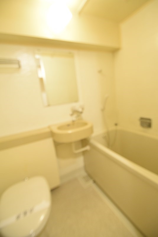 グリーンメゾン本厚木 その他1