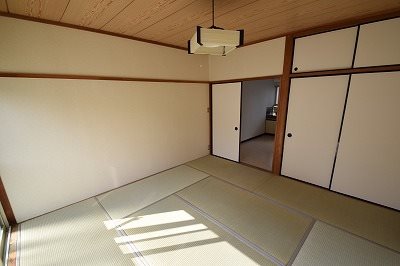 ブルーハイツ その他1