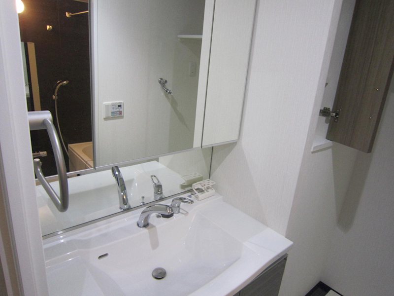 ヴィルドミール その他4