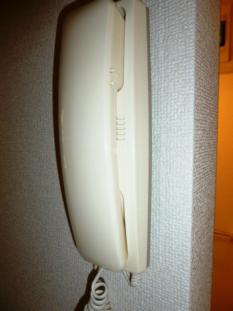 グリーンハイツ駒形 その他4