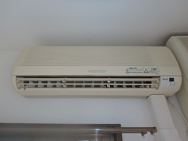 プリムローズ その他9