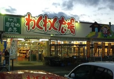 大山の里 わくわく広場 伊勢原店 ホワイトハウス沼目A 周辺画像4