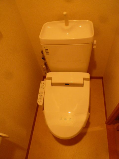 エバーグリーン その他2