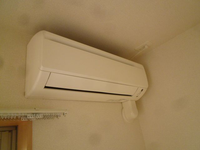 エバーグリーン その他4