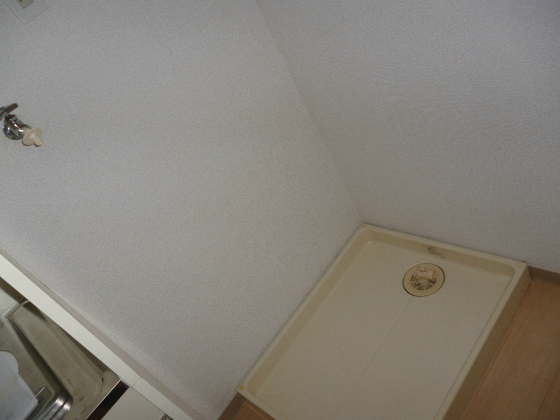 ラドウィンズの写真13