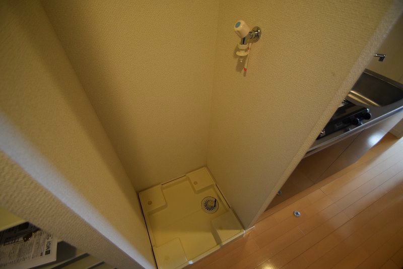 リブリ・フローラ その他1