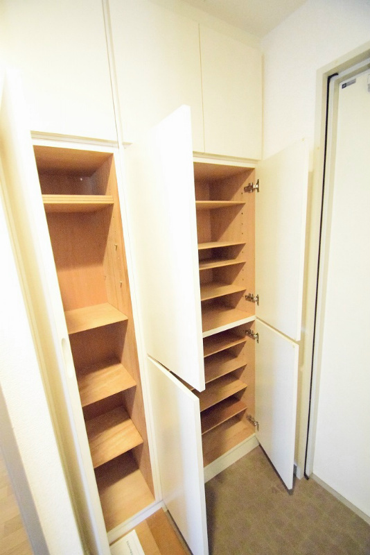 ステラ本厚木 玄関