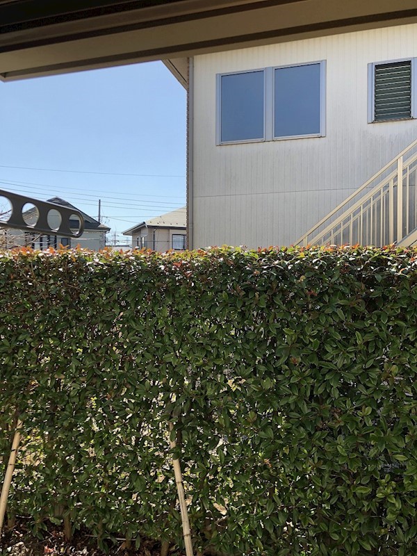 シャテニエ　ボワ　コート　D その他4