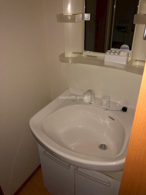 湘南コスモス その他2