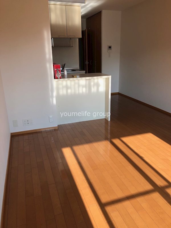 湘南コスモス その他12