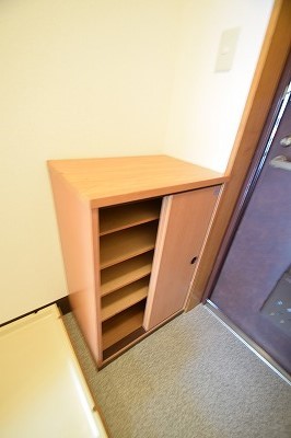 リュミエ本厚木 玄関