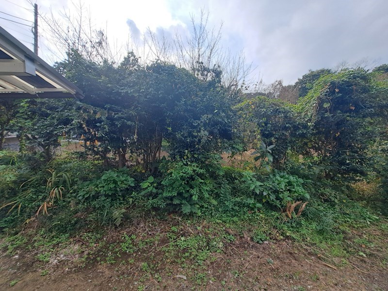 山崎貸家 その他5