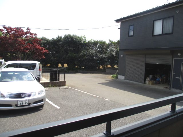 エバーグリーン その他5