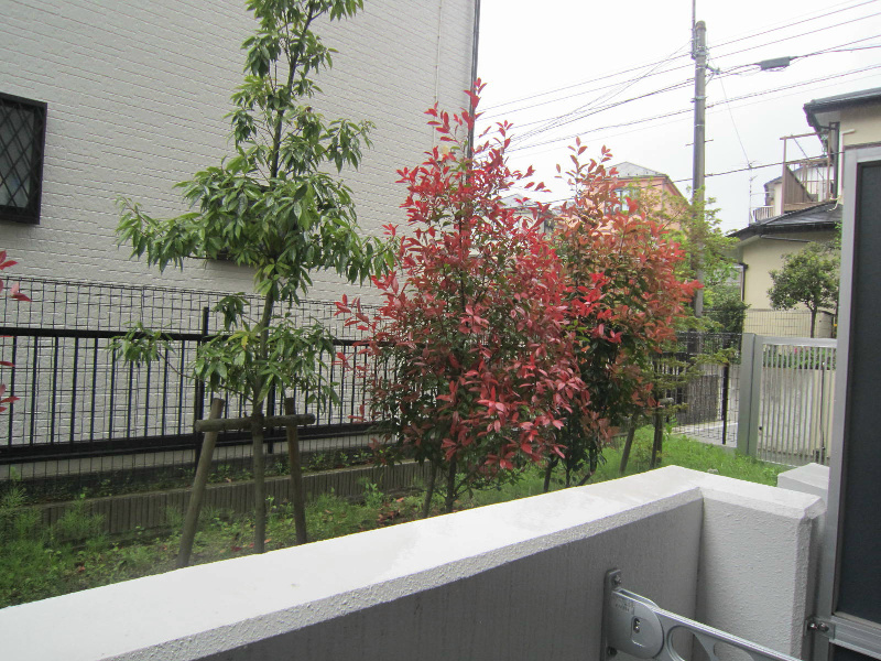 ヴィルドミール その他4