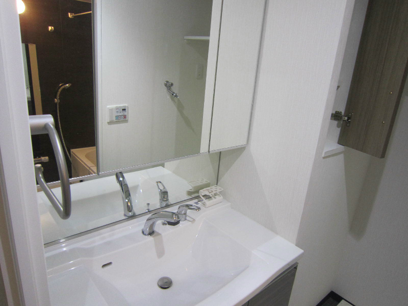 ヴィルドミール その他7