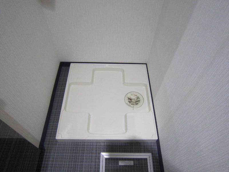 ヴィルドミール その他8