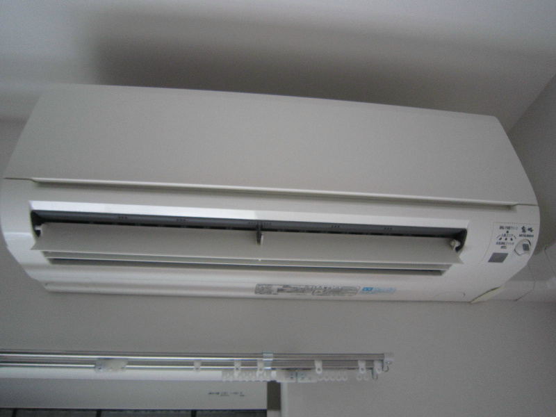 ヴィルドミール その他9