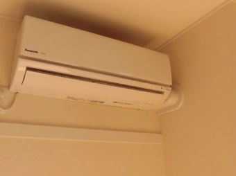 シャン　ド　マイス (Champ de mais) その他4