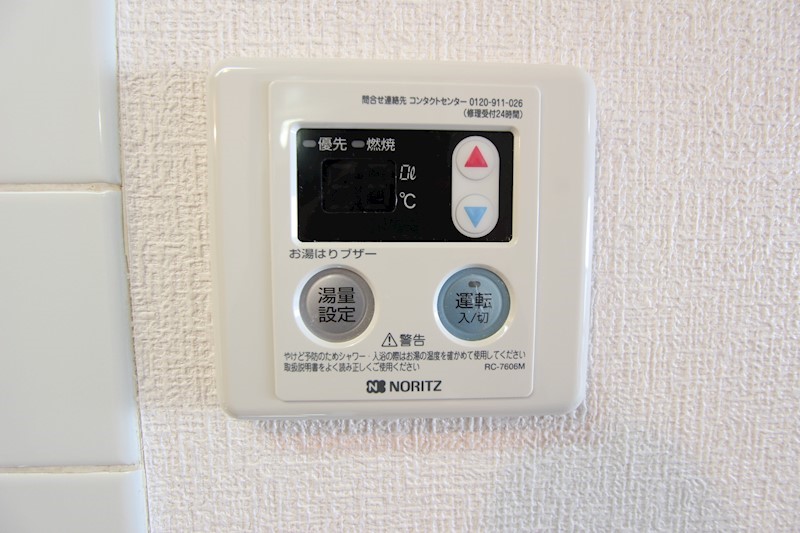 フリージア その他9