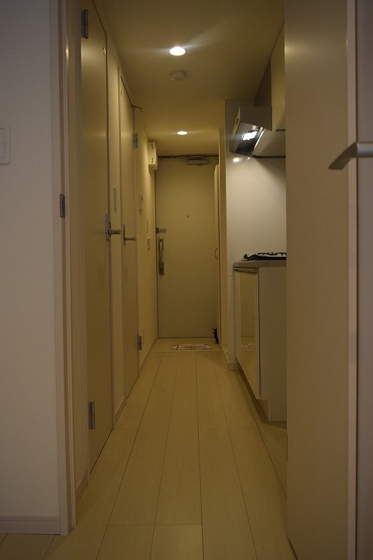 リブリ・テラ その他6