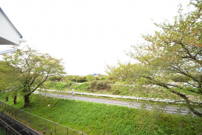 ドルチェ神保 その他4