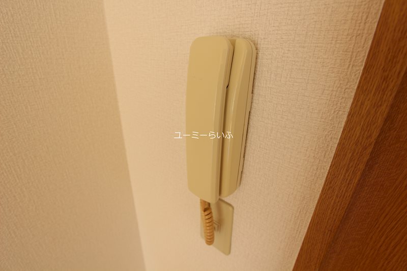 ファインブルーム その他1